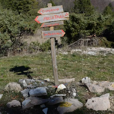 Le Ginestre San Severino Marche