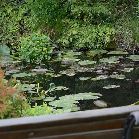 Le Ginestre Appartamento San Severino Marche