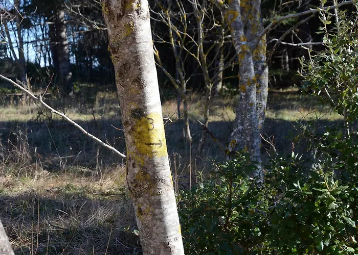 Le Ginestre Apartment San Severino Marche