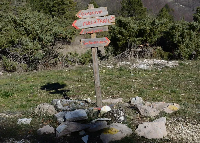 Le Ginestre San Severino Marche